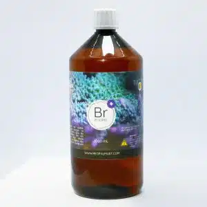 Brome Recifal-Must