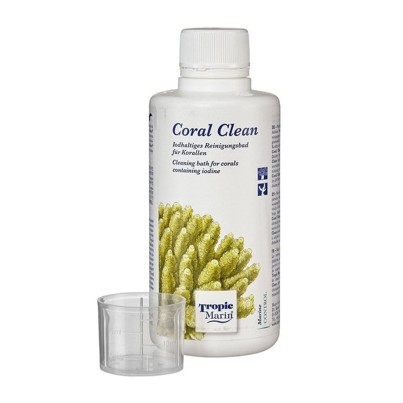 coral-clean-TM.jpg