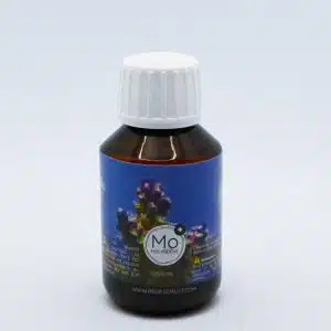 Molybdene Recifal-Must