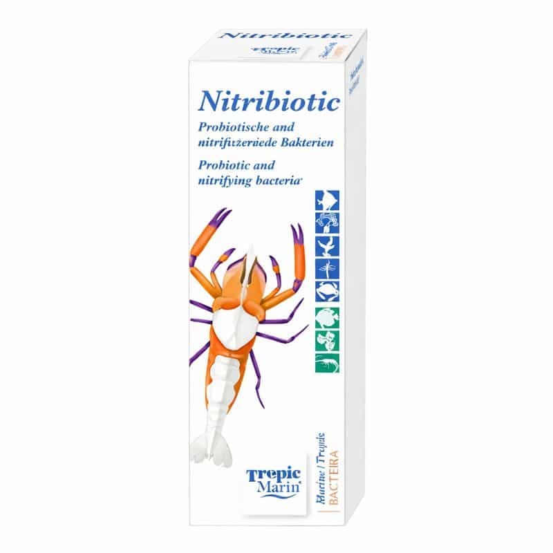 nitribiotique-50ml