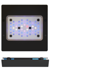 EcoTech Marine Radion XR15 G6 Blue - Rampe LED Aquarium Récifal