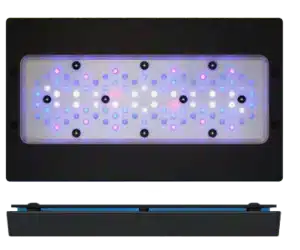 EcoTech Marine Radion XR30 G6 Blue - Rampe LED Aquarium Récifal